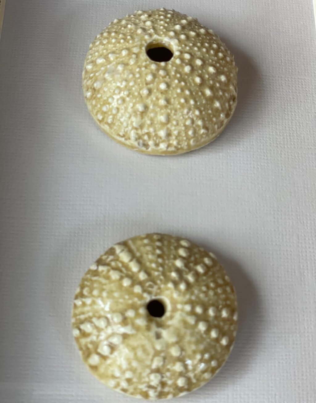 Instagram post from ceramica_seijas. This post is in position 3.