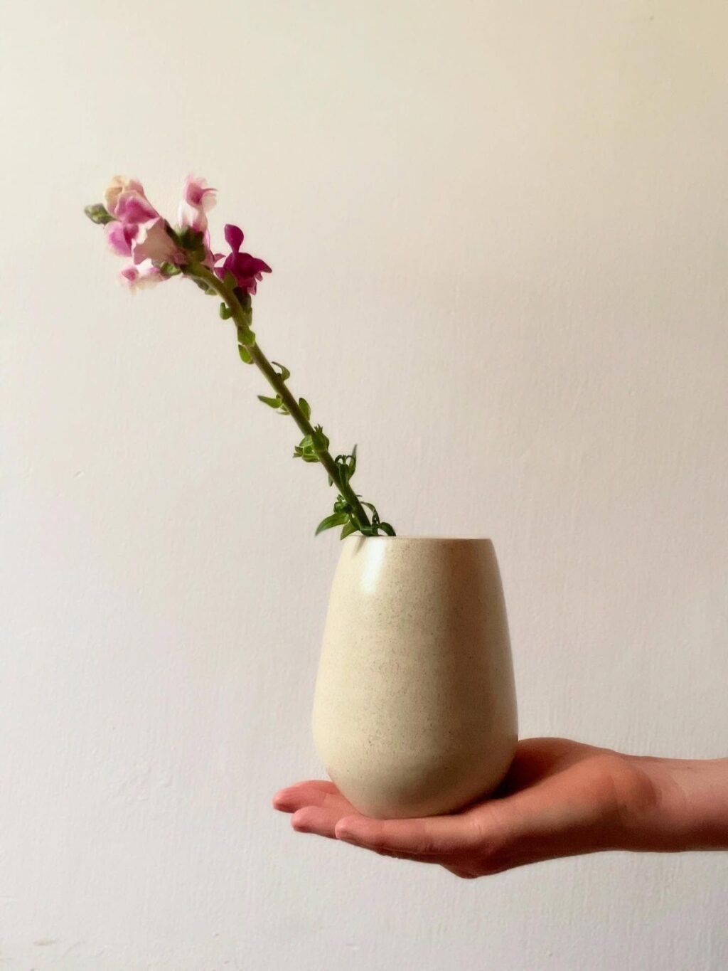 Instagram post from ceramica_seijas. This post is in position 5.